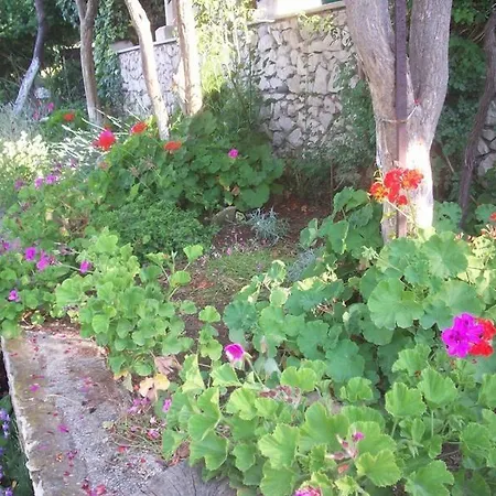 Tomovic 公寓 鲁巴达