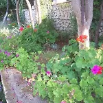 Tomovic アパート ルンバルダ