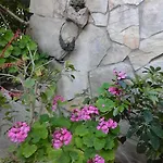 Tomovic アパート ルンバルダ