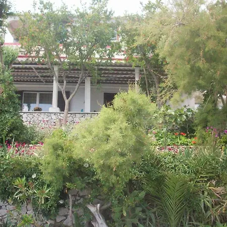 Διαμέρισμα Tomovic