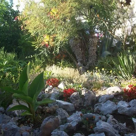 Tomovic Διαμέρισμα *