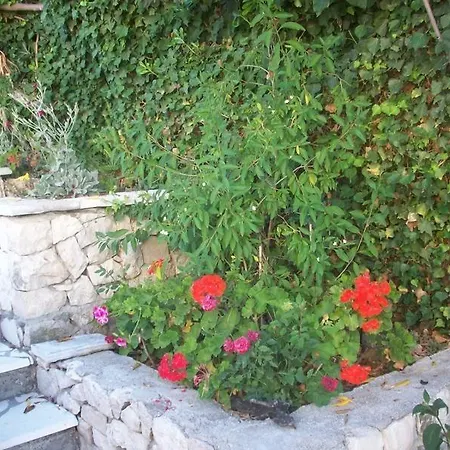 Tomovic Διαμέρισμα