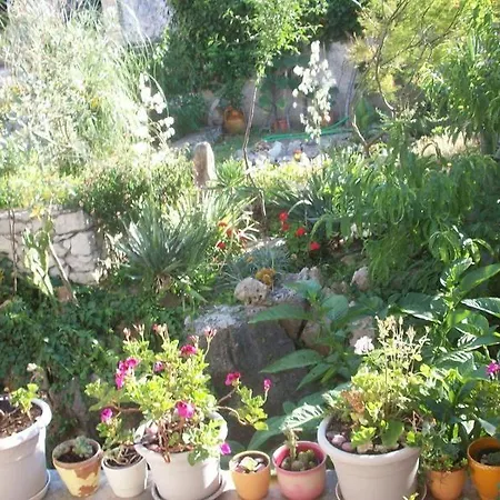 Tomovic Διαμέρισμα Λομπάρδα