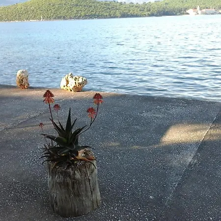 Διαμέρισμα Tomovic *