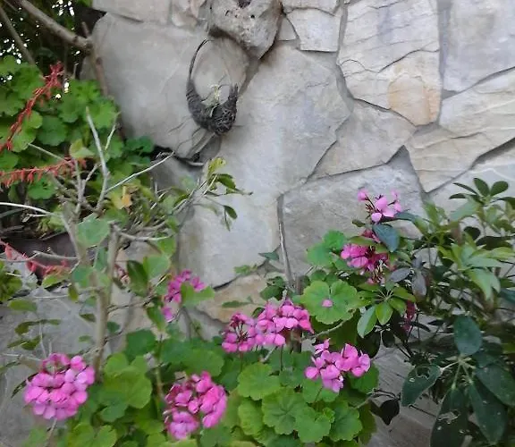 Tomovic Lejlighed Lumbarda