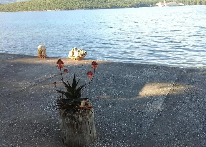 Appartamento Tomovic *